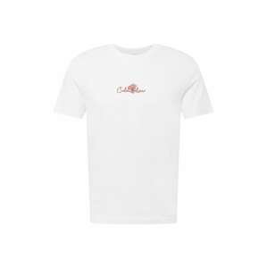 Calvin Klein T-Shirt 'SUMMER'  bílá / červená