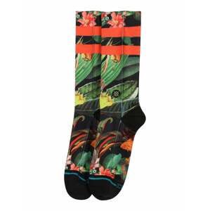Stance Sportovní ponožky 'PLAYA LARGA'  černá / mix barev