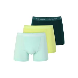 Calvin Klein Underwear Krojové kalhoty  tmavě zelená / světlemodrá / žlutá / bílá