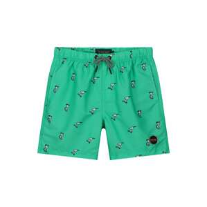Shiwi Plavecké šortky 'Snoopy Happy Skater' zelená / černá / bílá