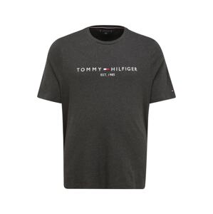 Tommy Hilfiger Big & Tall Tričko  grafitová / bílá / noční modrá / červená