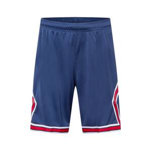 Jordan Sportovní kalhoty  modrá / bílá / červená