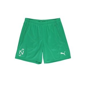 PUMA Sportovní kalhoty 'Neymar'  bílá / zelená