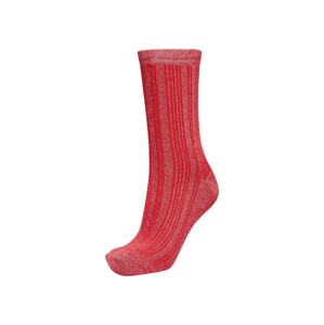 SELECTED FEMME Ponožky 'Lana'  stříbrná / červená