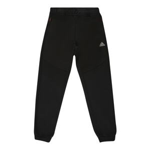 ADIDAS PERFORMANCE Sportovní kalhoty šedá / černá / bílá