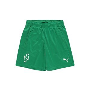 PUMA Sportovní kalhoty 'Neymar'  trávově zelená / bílá