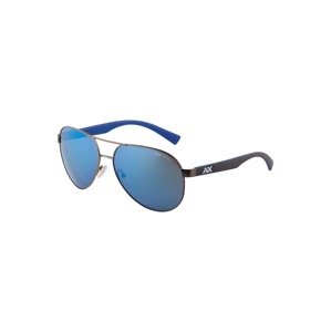 ARMANI EXCHANGE Sluneční brýle '0AX2031S'  modrá / šedá