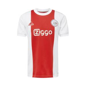 ADIDAS PERFORMANCE Trikot 'Ajax Amsterdam'  bílá / červená