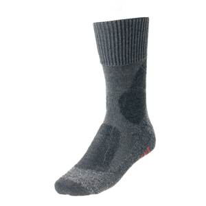 FALKE Sportovní ponožky 'TK1'  šedá