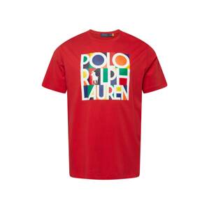 Polo Ralph Lauren Big & Tall Tričko  červená / mix barev