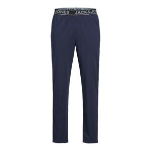 JACK & JONES Pyžamové kalhoty 'Jactiki'  námořnická modř / šedá