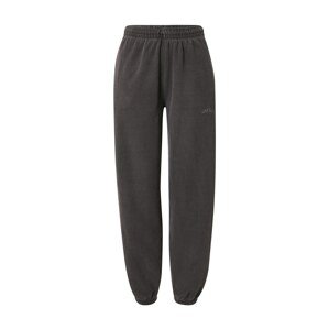 BDG Urban Outfitters Kalhoty  tmavě šedá / opálová