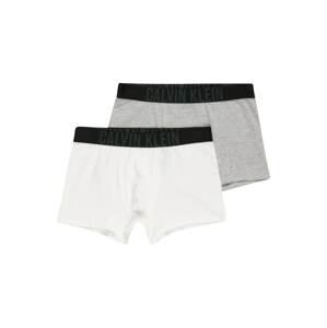 Calvin Klein Underwear Spodní prádlo  bílá / šedá / černá