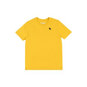 Abercrombie & Fitch Tričko  žlutá