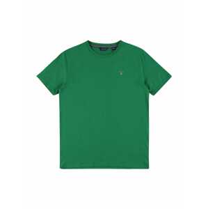 GANT Tričko  zelená
