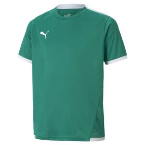 PUMA Funkční tričko 'teamLIGA'  zelená / bílá