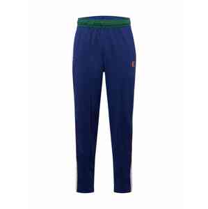 NIKE Sportovní kalhoty  tmavě modrá / zelená / červená