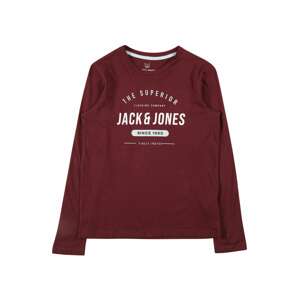 Jack & Jones Junior Tričko 'Herro'  vínově červená / bílá / azurová