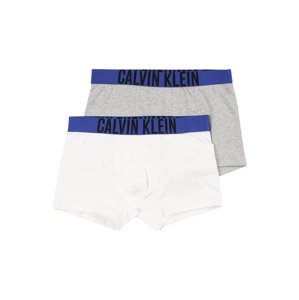 Calvin Klein Underwear Spodní prádlo modrá / šedá / černá / bílá