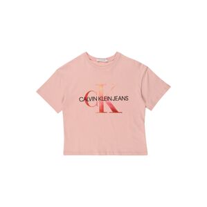 Calvin Klein Jeans Tričko tmavě oranžová / růžová / černá