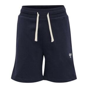 Hummel Sportovní kalhoty 'Bassim'  námořnická modř / bílá
