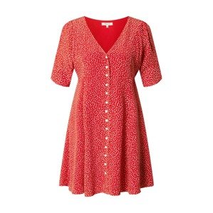 Madewell Šaty  červená / bílá