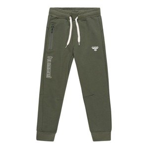 Hummel Sportovní kalhoty 'Ocho'  zelená / bílá