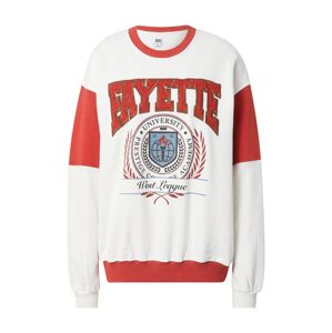 BDG Urban Outfitters Mikina 'FAYETTE'  bílá / červená / černá / kouřově modrá