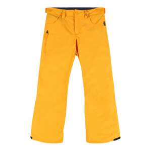 BURTON Sportovní kalhoty 'Barnstorm'  noční modrá / zlatě žlutá