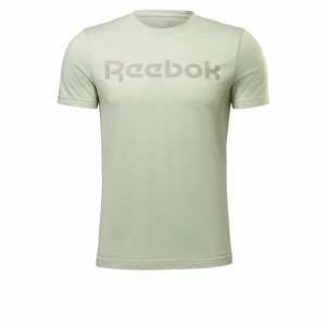 Reebok Sport Funkční tričko  světle šedá / pastelově zelená