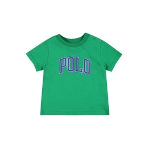 Polo Ralph Lauren Tričko  zelená / marine modrá / bílá