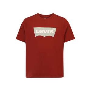 Levi's® Big & Tall Tričko  rezavě červená / bílá / světle šedá