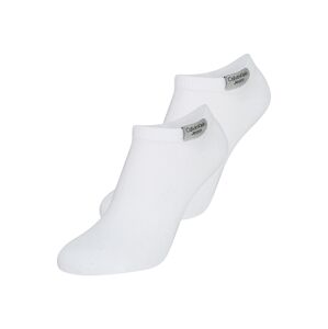 Calvin Klein Underwear Ponožky  bílá / stříbrně šedá