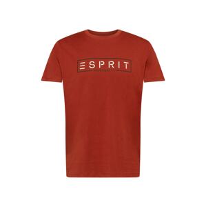 ESPRIT Tričko  červená / bílá / černá