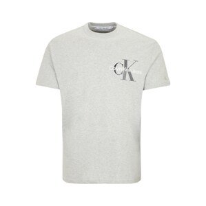 Calvin Klein Jeans Plus Tričko  světle šedá / tmavě šedá / bílá