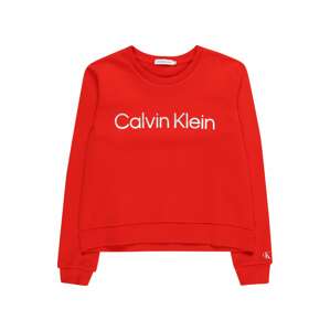 Calvin Klein Jeans Mikina  červená / šedá
