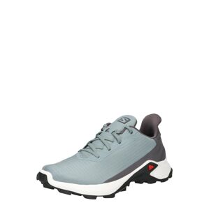 SALOMON Sportovní boty 'ALPHACROSS 3'  kouřově šedá / tmavě šedá