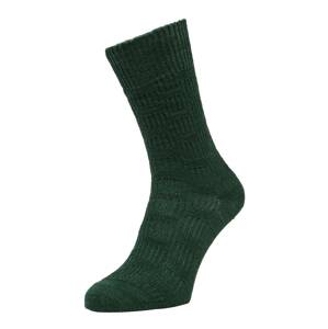 FALKE Ponožky  tmavě zelená