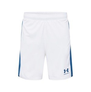 UNDER ARMOUR Sportovní kalhoty  bílá / královská modrá
