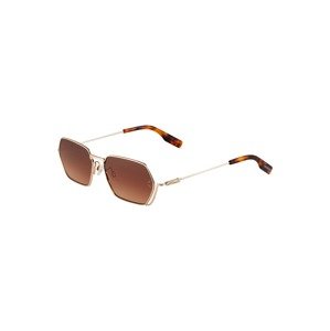 McQ Alexander McQueen Sluneční brýle  hnědá / černá / růžově zlatá