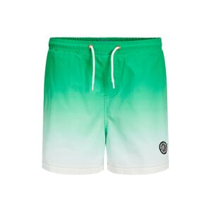 Jack & Jones Junior Plavecké šortky 'Milos'  trávově zelená / bílá