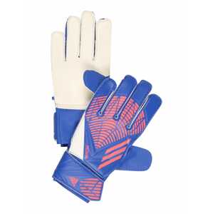 ADIDAS PERFORMANCE Sportovní rukavice 'PRED'  modrá / růžová / bílá