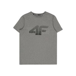 4F Funkční tričko  šedá / tmavě šedá