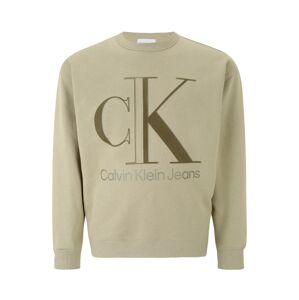 Calvin Klein Jeans Plus Mikina  světle béžová / šedá / rákos