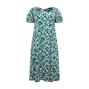 Dorothy Perkins Curve Letní šaty  světlemodrá / zelená / růžová / bílá