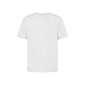 PUMA Funkční tričko  světle šedá / bílá
